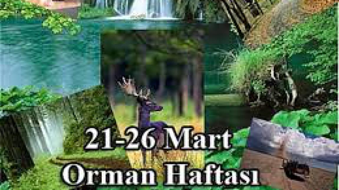ORMAN HAFTASI